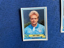 PANINI FOOTBALLERS 1992/93 NAPOLI THERN N 236 ***