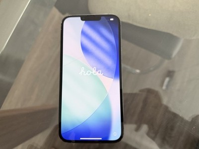 iPhone 13 Pro Max