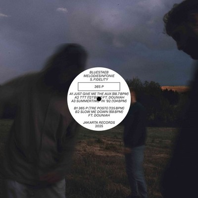 Bluestaeb, Melodiesinfonie & S. Fidelity 365 P (Vinyl) 12'' EP