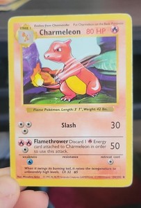 1995 Charmeleon Pokemon Card | eBay