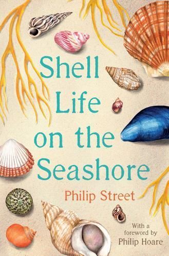 Shell Life on the Seashore, by Philip Street, Like New Book