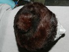 Picture 6 of 10