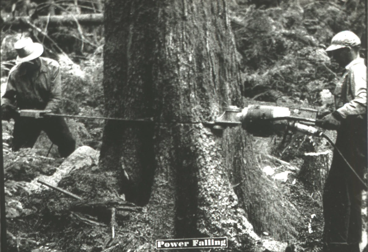 Why Were Chainsaws Invented? BBC Science Focus Magazine, 44 OFF