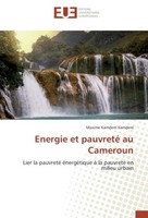 Energie Et Pauvreté Au Cameroun Maxime Kamdem Kamdem