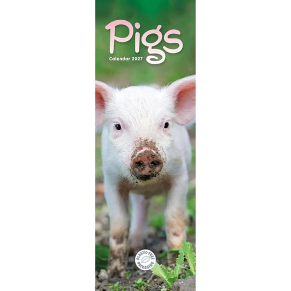 Pigs 2027 Slim Month To View Wall Calendar - Image 5