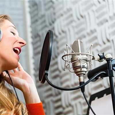 Mikrofon Popfilter drehbar mit Doppelschicht Inno Gear Windschutz Schallschutz