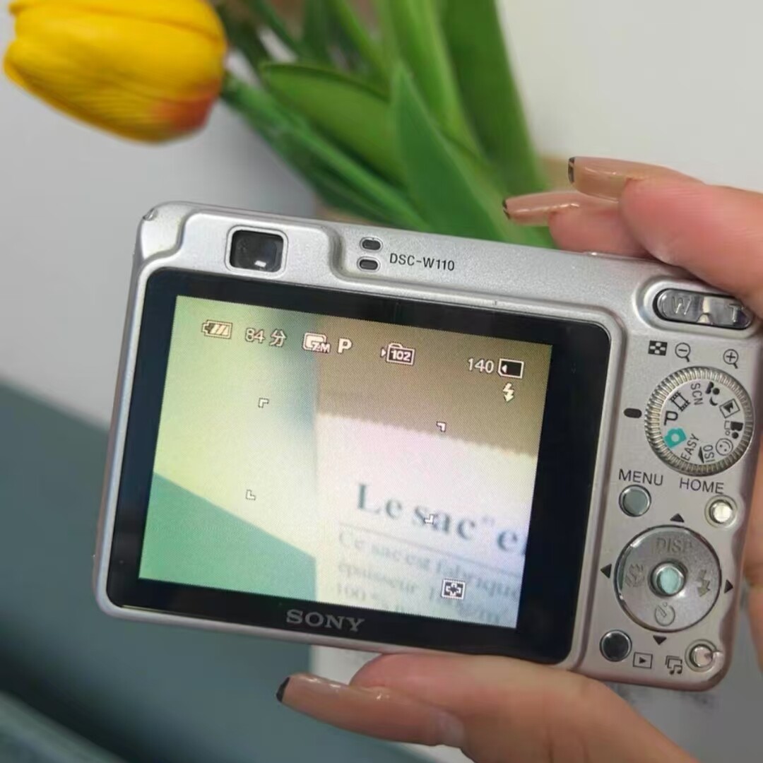 Sony Cyber-shot DSC-W110 シルバー Sony CyberShot DSC-W110 Digital Compact – Retro Camera Shop