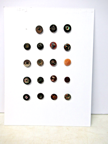 LOT OF 19 ANTIQUE INLAID & OTHER BUTTONS ON COLLECTOR'S CARD 11/16" TO 13/16" - Picture 2 of 22