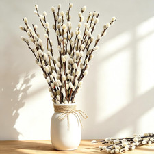 Dried Pussy Willow Branches 15 Stems 17" Natural Preserved Snow Buds