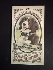 2019 Topps Allen And Ginter COLLECTABLE CANINES CC-12 ENGLISH SPRINGER SPANIEL