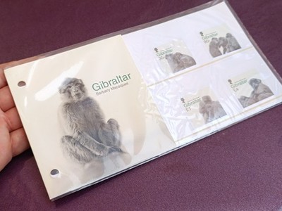 2020 Gibraltar Barbary Macaques Oficial First Day Cover Postage Stamps