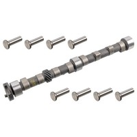 Febi Bilstein 19678 Nockenwellensatz FüR Ford