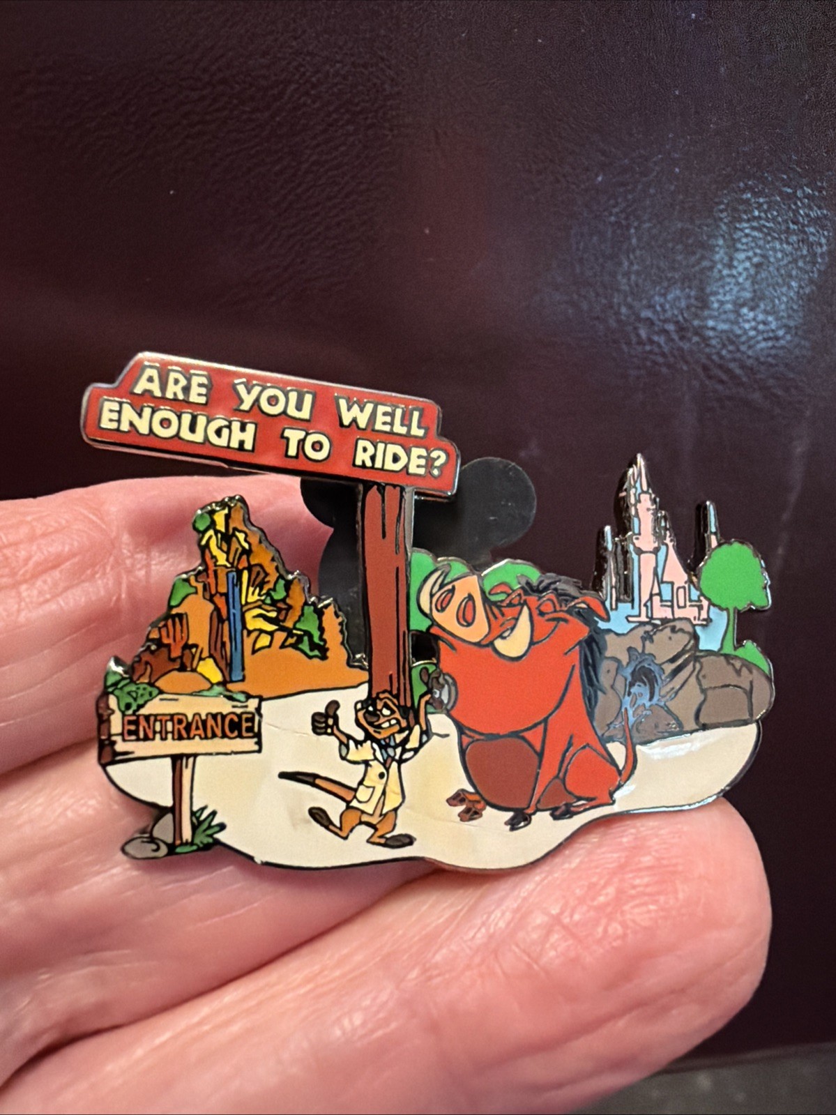 Disney Pin Timon Pumbaa Wild About Safety Well Enough Ride 2003 #10