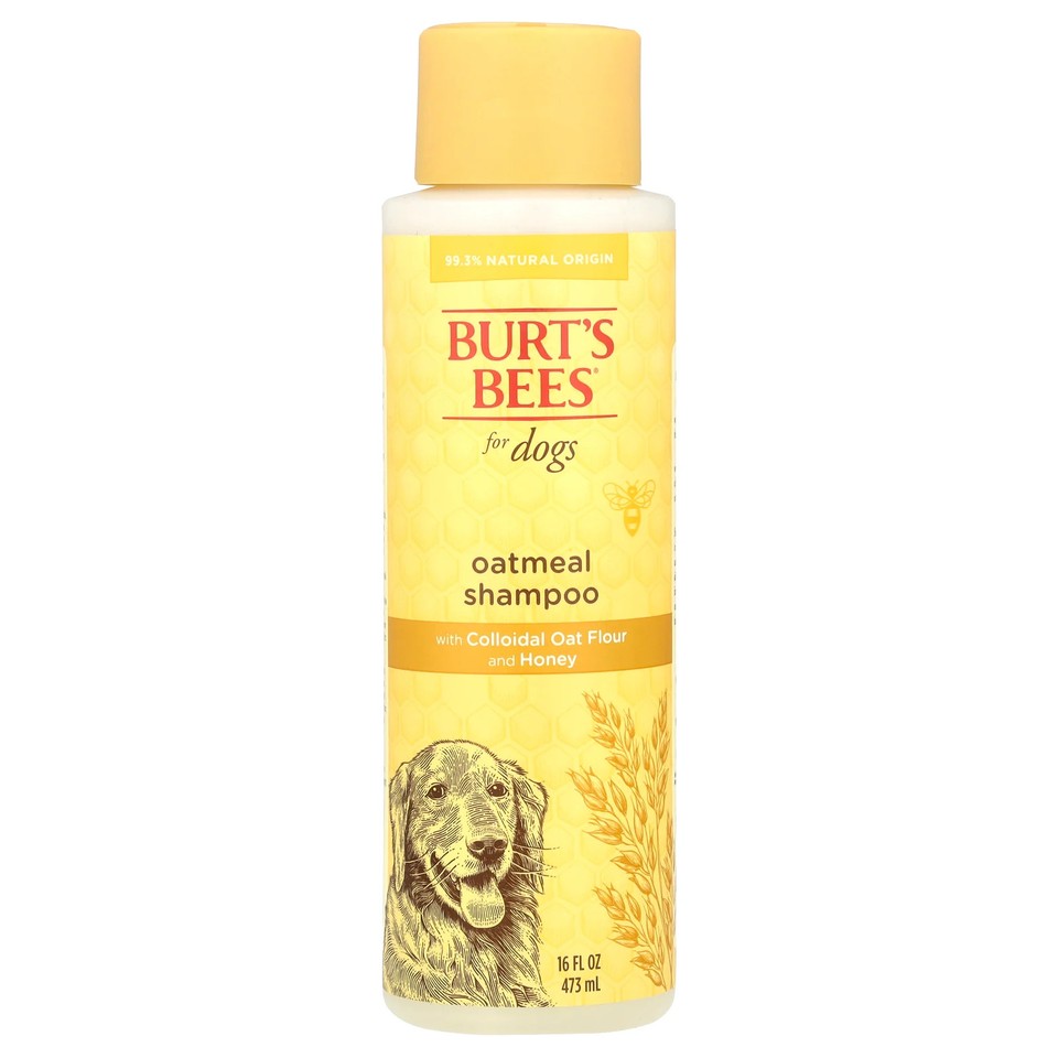 Oatmeal Shampoo with Colloidal Oat Flour and Honey, For Dogs, 16 fl oz (473 ml)