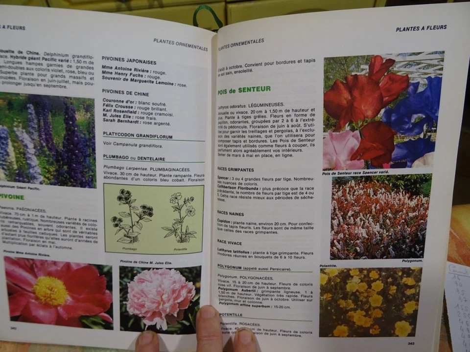 lot livres sur jardinage G TRUFFAUT ++ CATALOGUES ROSES ANCIENNES D. AUSTIN - Photo 4/4