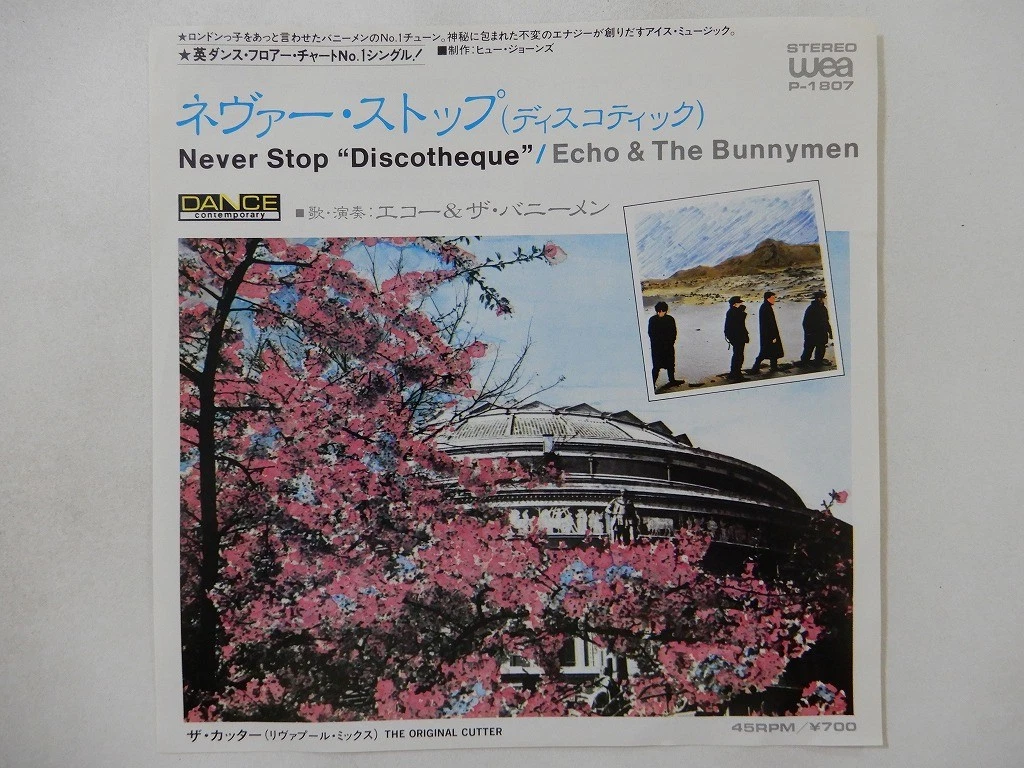 Echo & the Bunnymen Vinyl Records for sale | eBay
