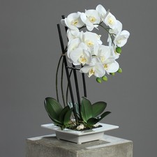 künstliche Orchidee, Phalaenopsis weiß in weißer Keramikschale H. 46cm DPI