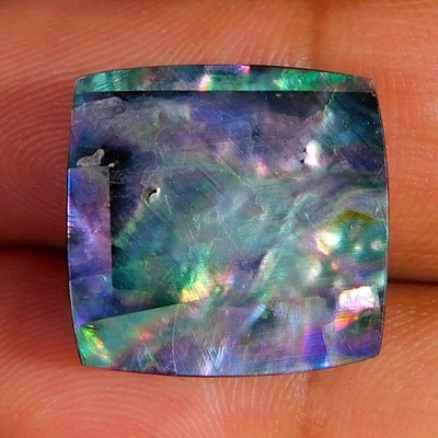 Natural Rare Abalone Shell Cushion Cabochon 14.55Cts. Reiki Healing Gemstone