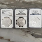 Lot Of (3)  1 oz Silver MS69  NGC RANDOM 🔥 🔥