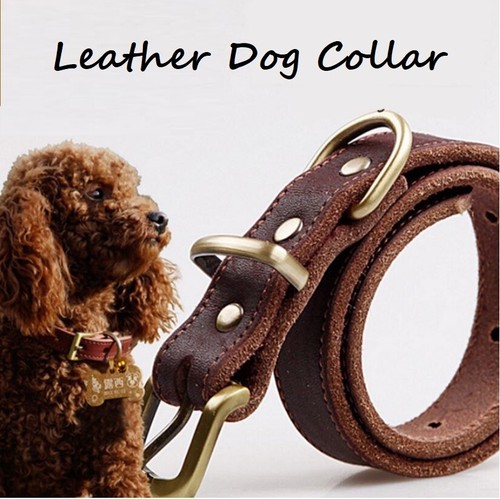 Top Quality Handmade Genuine Leather Pet Dog Collar Head Collars Leads - Picture 14 of 18