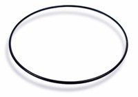 Casio Dichtungsring O-Ring Schwarz FüR DW-5025B DW-5300 74209681