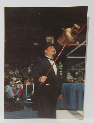 WWF Mr Fuji & The Barbarian Original Type 1 WWF WWE Wrestling Ringside Pic 1989