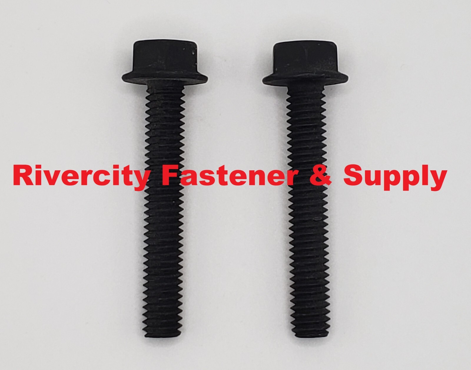 CARRIAGE SCREWS SS 5/16-18X2-1/2 | ACE Hardware - View #4