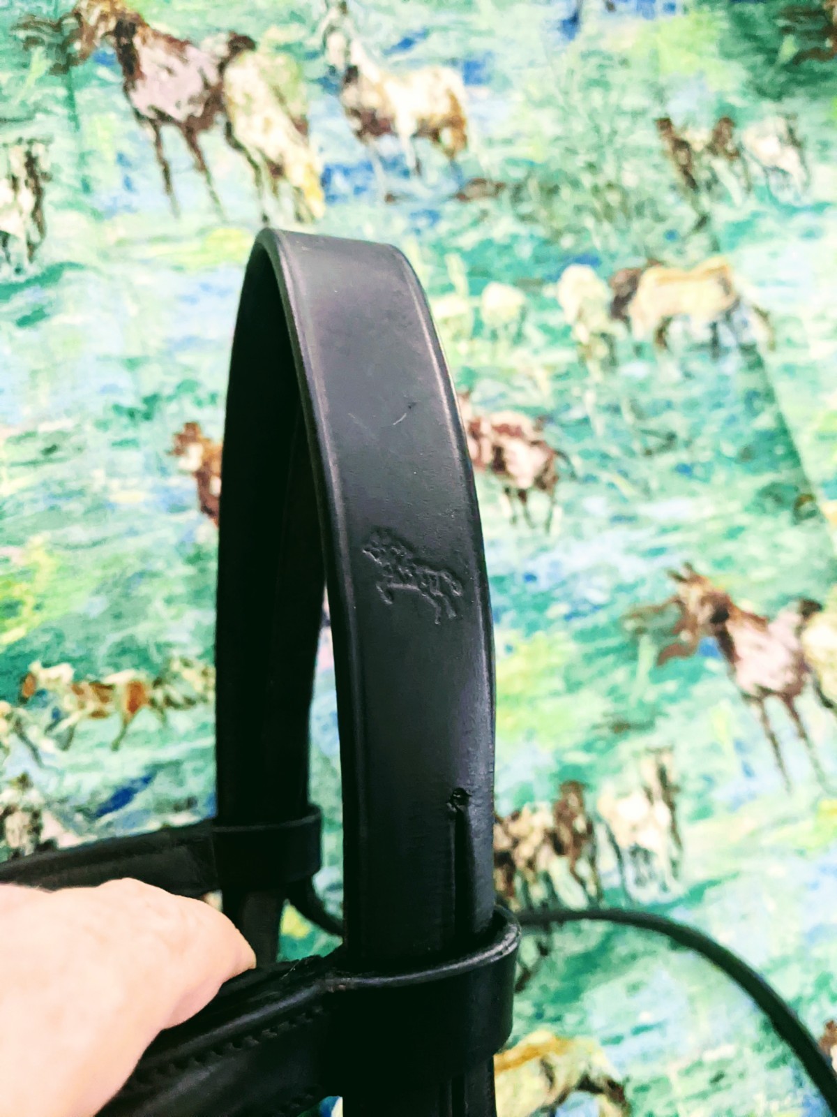 Smooth Raised Snaffle Bridle, Black Leather, With Flash, Bobby's English Tack