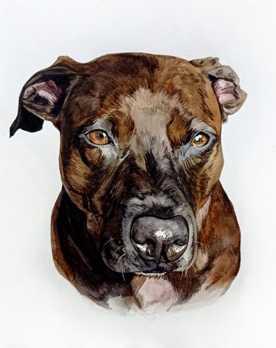 Custom Pet Portrait from Your Photo Original Watercolor Painting Dog, Cat - Picture 6 of 7
