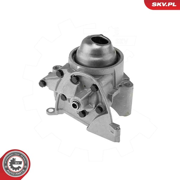 ÖLpumpe Esen SKV 77SKV050 FüR VW Polo 4 FOX 5Z1 5Z3 5Z4 5Z5 5 6R1 6C1 12V Skoda-image