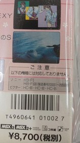 MSX Software Model Hanano Momoko Group Nippon Bussan