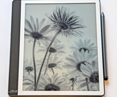 Kindle Scribe (32 GB)Mit Premium-Eingabestift u. KI-Notizbuch-Funktionen wie neu