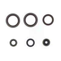 Parolio Motorkette Beta RR 125 18-22 FüR Beta RR 200 2T 2019-2024 2T