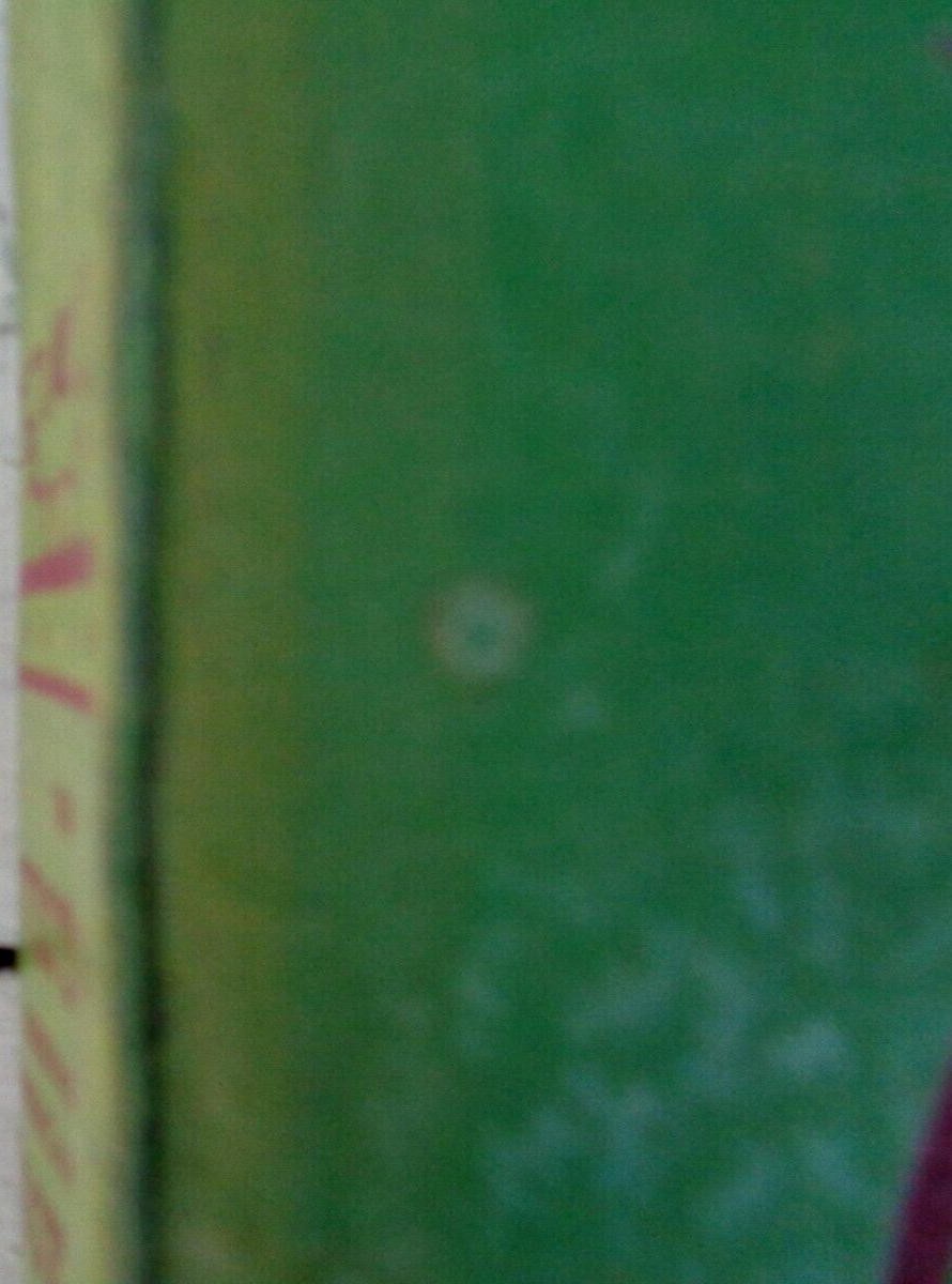 Picture 3 of 13