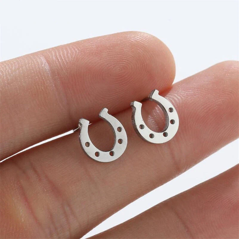 Horseshoe 2024 earrings silver