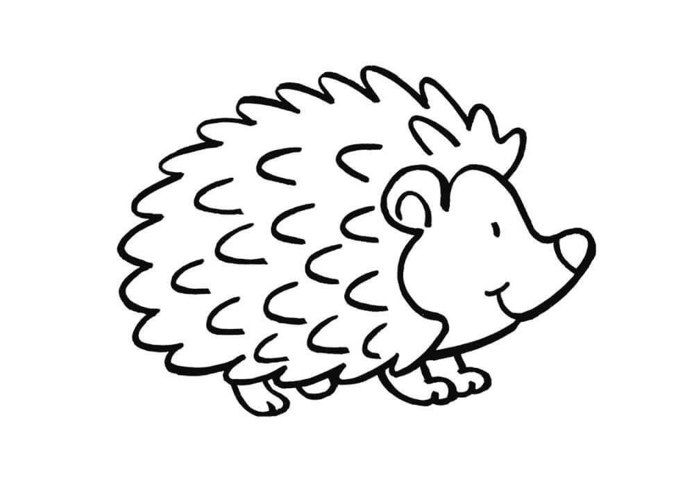 Thumbnail - Kleines Malbuch. Garten