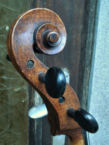 Old cello  "N. AIODANTE 1876" -- Altes Cello - Bild 1 von 12