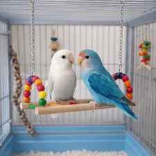 Bite Resistant Parrot Swing Toy Colorful Hanging Beads Wooden Bird Cage Toys