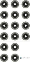 Victor Reinz 12-35549-01 Dichtungssatz FüR Ventilschaft