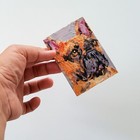 Foto 7 di 13