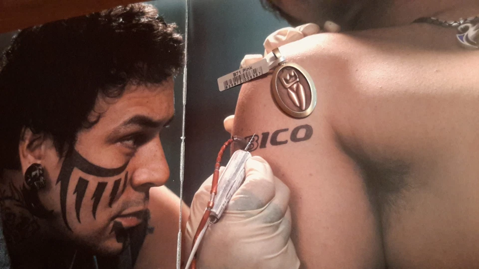 COLGANTE BICO AUSTRALIA NUDE FEMINIDAD PÚRPURA RESINA TRIBAL B71 NUEVO CON ETIQUETAS NUEVO DESNUDO Foto 2 de 4