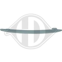 Diederichs 1225063 Zier-/Schutzleiste, StoßFäNger