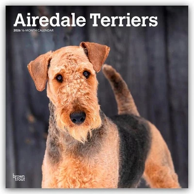 BROWNTROUT VERLAGS GMBH Airedale Terrier 2026 - 16-Monatskalender Browntrout Publishers