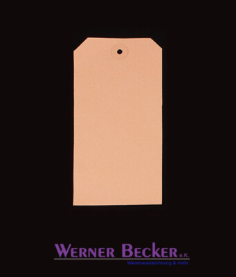 Geschenkanhänger Glückwunschkarte Kartonetiketten 110x160 Adventskalender DIY