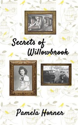 Secrets of Willowbrook by Pamela-Horner  New 9781718647374 Fast Free Shipping-,