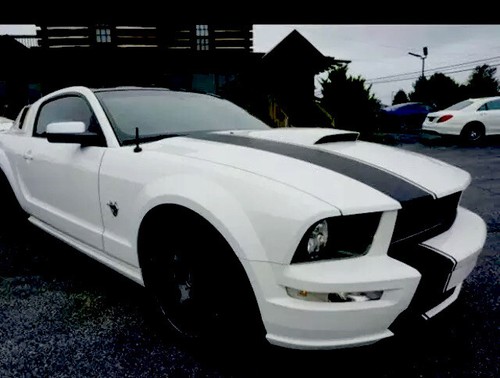 10" offset Racing Rally stripe stripes fit Ford Mustang Mach Cobra 5.0 Saleen GT Photo - $63