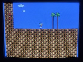 Doki Doki Panic Yume Kojo Mario Bros 2 Nintendo Famicom Disk NES Japan US SELLER