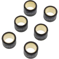 Variomatikgewichte 4,0G 16X13Mm 6 StüCk