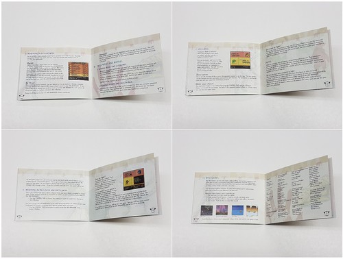 Animorphs Scholastic Presents Game Boy Color Complete CIB Authentic Tested *wear - Picture 9 of 16