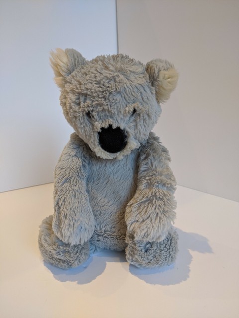 bashful koala